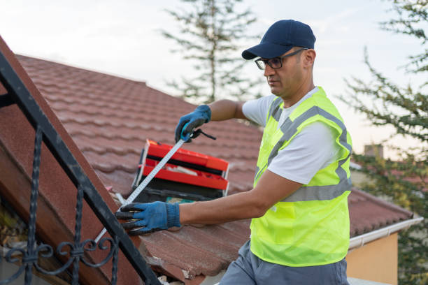 Best Radiant Barrier Insulation  in Spring Arbor, MI